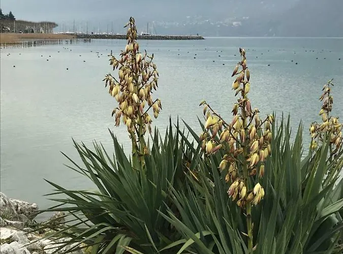 7 Boulevard Des Cotes 아파트